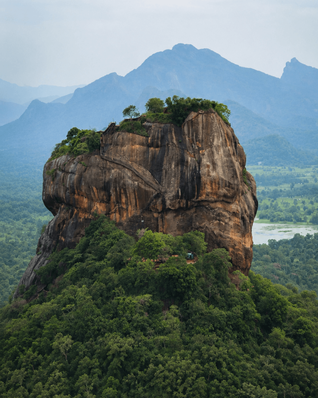 Sigiriya rock rising out of dry-zone forest at first light